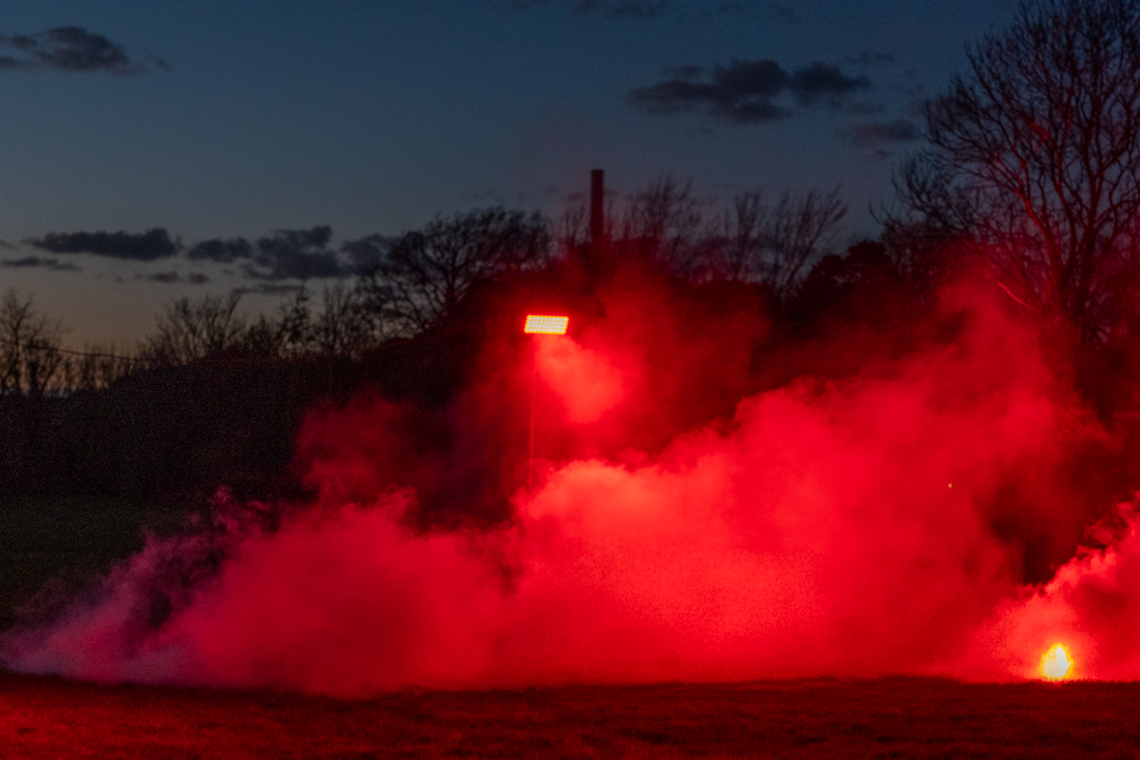 Photography by Chris Allington